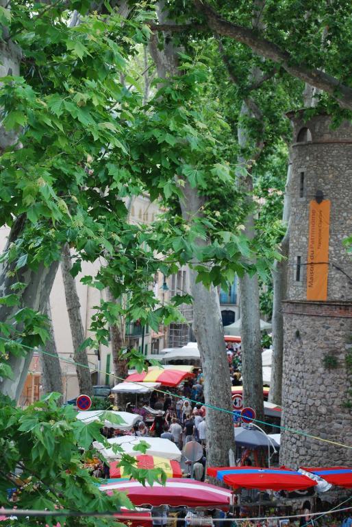 Hotel Vidal Ceret Ngoại thất bức ảnh
